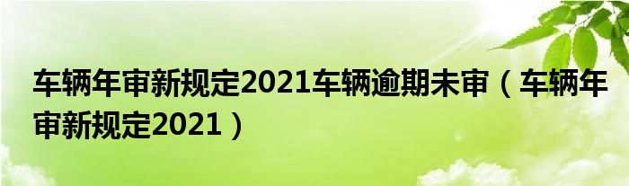 车辆年审新规定2021车辆逾期未审（车辆年审新规定2021）