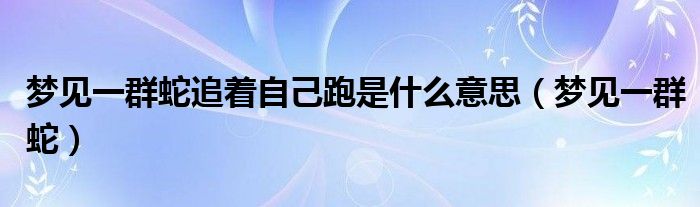 梦见一群蛇追着自己跑是什么意思（梦见一群蛇）