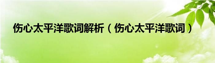 伤心太平洋歌词解析（伤心太平洋歌词）