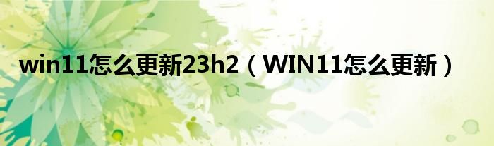 win11怎么更新23h2（WIN11怎么更新）