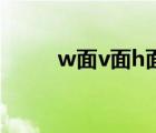 w面v面h面的含义是什么（wmi）