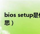 bios setup是什么意思（setup电脑上什么意思）