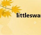 littleswan怎么读（littleswan）