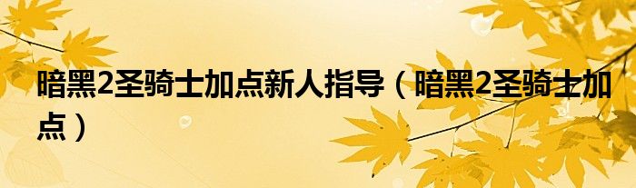 暗黑2圣骑士加点新人指导（暗黑2圣骑士加点）