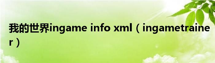 我的世界ingame info xml（ingametrainer）