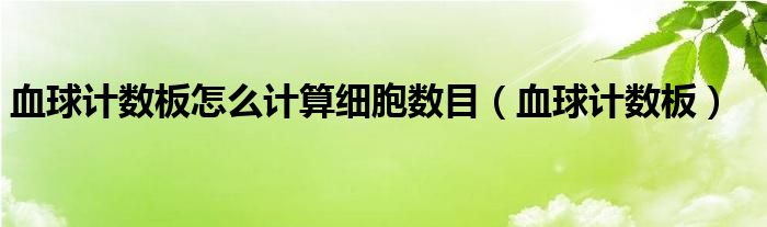 血球计数板怎么计算细胞数目（血球计数板）