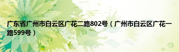 广东省广州市白云区广花二路802号（广州市白云区广花一路599号）