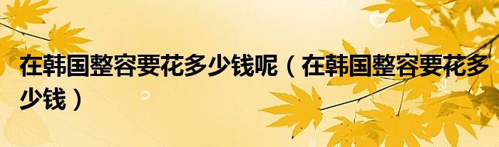 在韩国整容要花多少钱呢（在韩国整容要花多少钱）