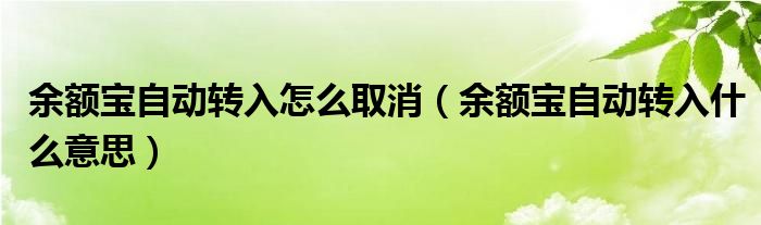 余额宝自动转入怎么取消（余额宝自动转入什么意思）