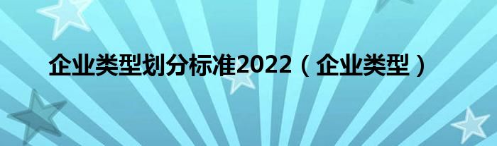 企业类型划分标准2022（企业类型）