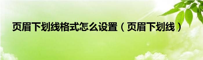 页眉下划线格式怎么设置（页眉下划线）