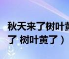 秋天来了树叶黄了春天来了树叶绿了（秋天来了 树叶黄了）