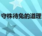 守株待兔的道理20字简单（守株待兔的道理）