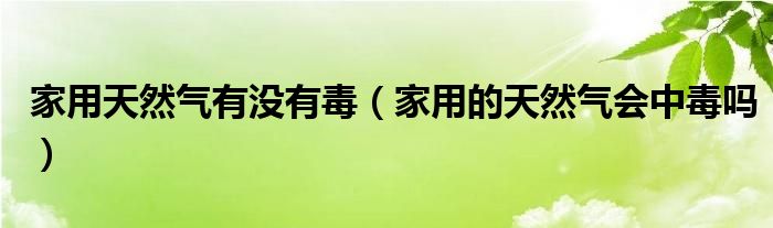 家用天然气有没有毒（家用的天然气会中毒吗）