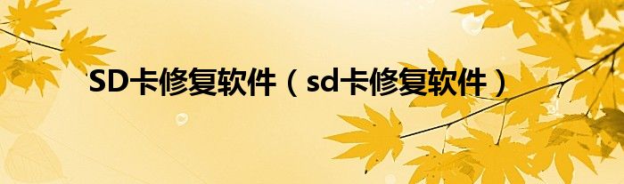 SD卡修复软件（sd卡修复软件）