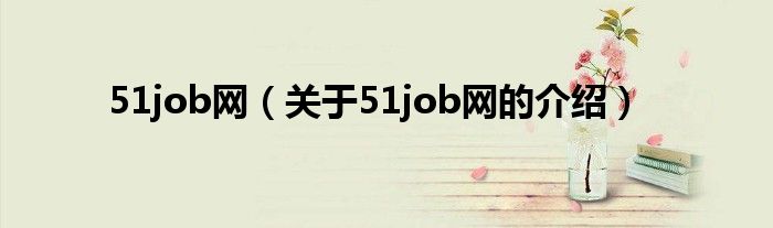 51job网（关于51job网的介绍）