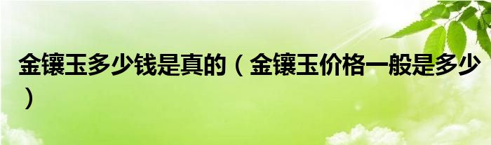 金镶玉多少钱是真的（金镶玉价格一般是多少）