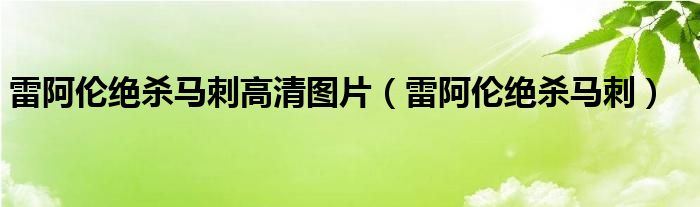 雷阿伦绝杀马刺高清图片（雷阿伦绝杀马刺）