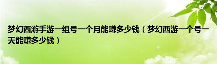 梦幻西游手游一组号一个月能赚多少钱（梦幻西游一个号一天能赚多少钱）