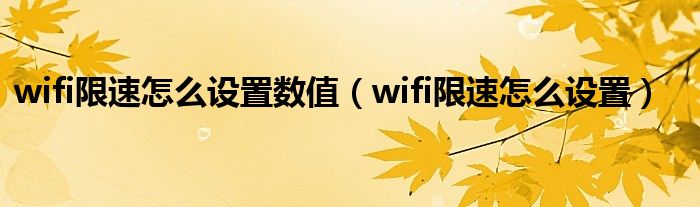 wifi限速怎么设置数值（wifi限速怎么设置）