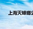 上海灭蟑螂公司哪家好（上海灭蟑螂）