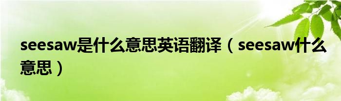 seesaw是什么意思英语翻译（seesaw什么意思）