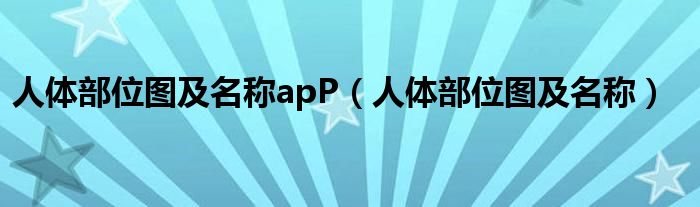 人体部位图及名称apP（人体部位图及名称）