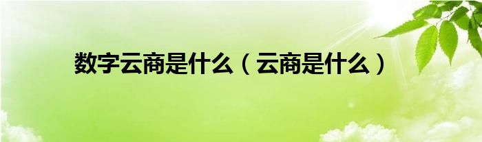 数字云商是什么（云商是什么）