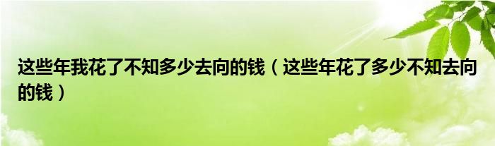 这些年我花了不知多少去向的钱（这些年花了多少不知去向的钱）