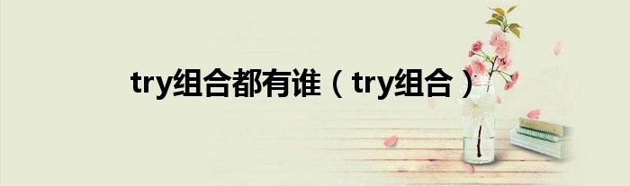 try组合都有谁（try组合）