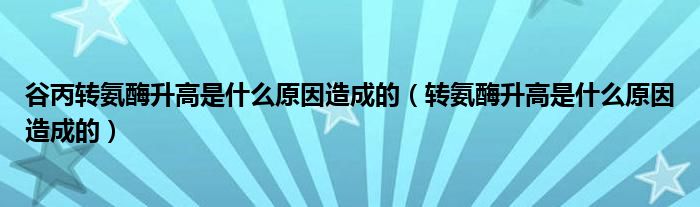 谷丙转氨酶升高是什么原因造成的（转氨酶升高是什么原因造成的）