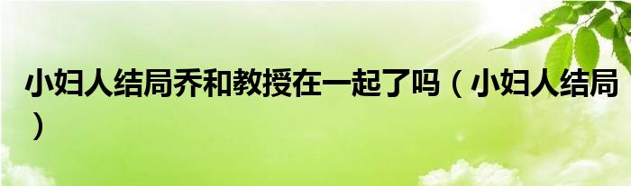 小妇人结局乔和教授在一起了吗（小妇人结局）