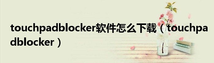 touchpadblocker软件怎么下载（touchpadblocker）