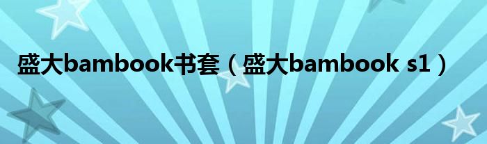 盛大bambook书套（盛大bambook s1）