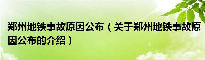 郑州地铁事故原因公布（关于郑州地铁事故原因公布的介绍）