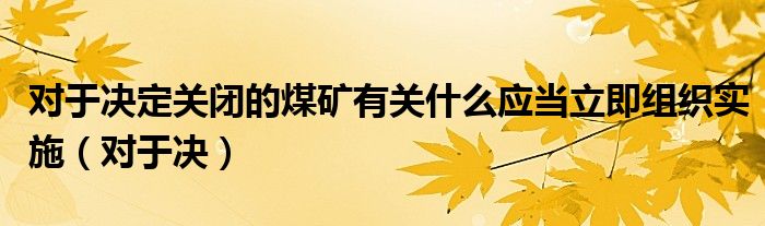 对于决定关闭的煤矿有关什么应当立即组织实施（对于决）