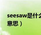 seesaw是什么意思英语翻译（seesaw什么意思）