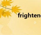 frightened的名词（frighten）