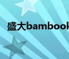 盛大bambook书套（盛大bambook s1）