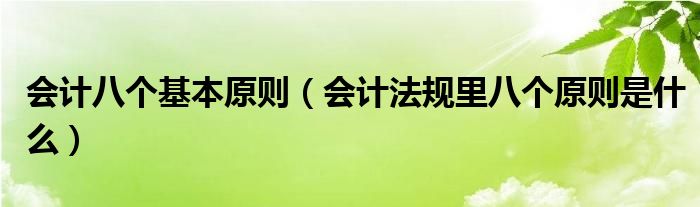 会计八个基本原则（会计法规里八个原则是什么）