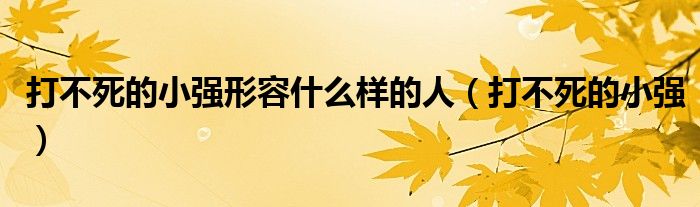 打不死的小强形容什么样的人（打不死的小强）