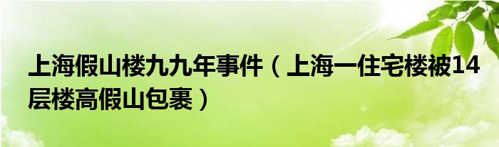 上海假山楼九九年事件（上海一住宅楼被14层楼高假山包裹）