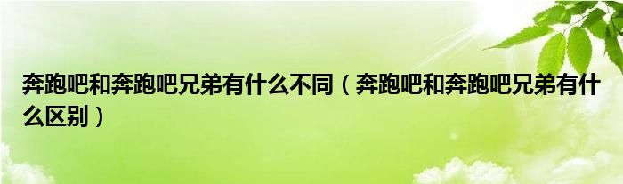 奔跑吧和奔跑吧兄弟有什么不同（奔跑吧和奔跑吧兄弟有什么区别）