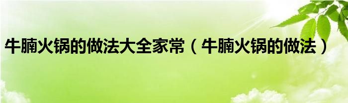 牛腩火锅的做法大全家常（牛腩火锅的做法）