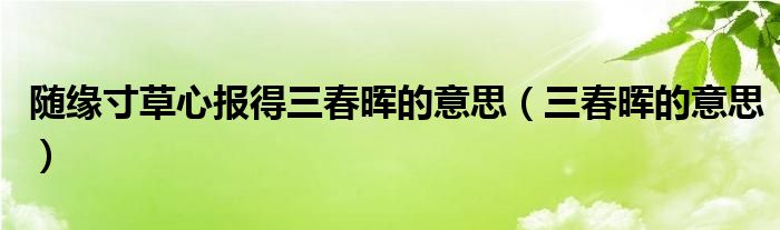 随缘寸草心报得三春晖的意思（三春晖的意思）