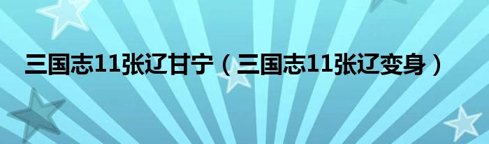 三国志11张辽甘宁（三国志11张辽变身）