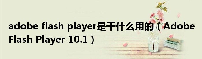 adobe flash player是干什么用的（Adobe Flash Player 10.1）