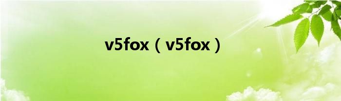 v5fox（v5fox）