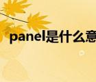 panel是什么意思中文（thicker中文意思）