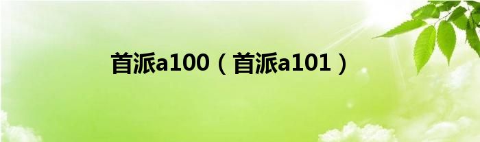 首派a100（首派a101）